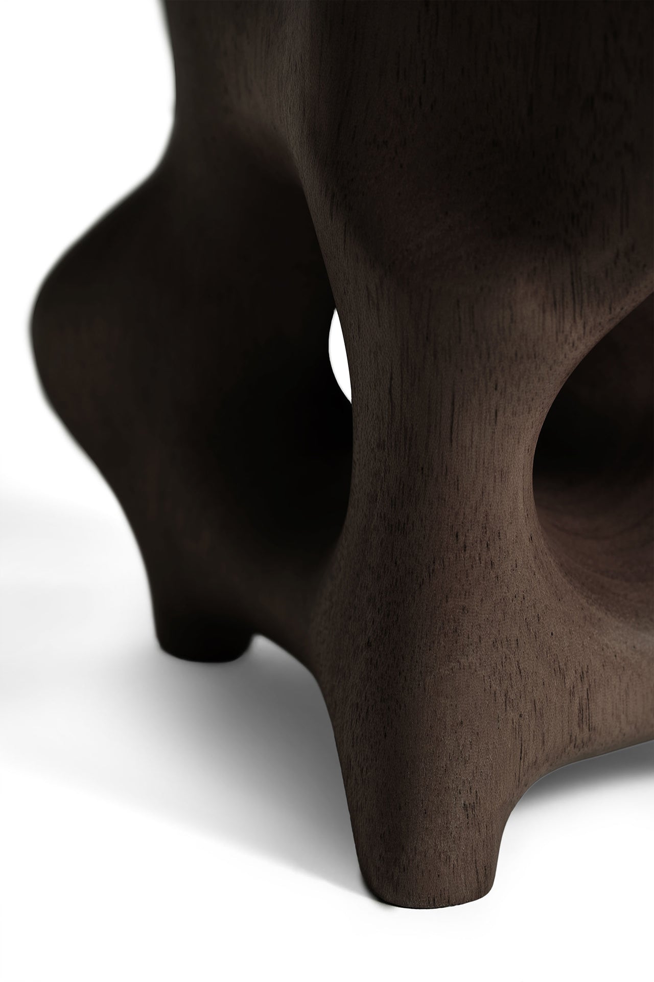 Dark Brown Organic sculpture