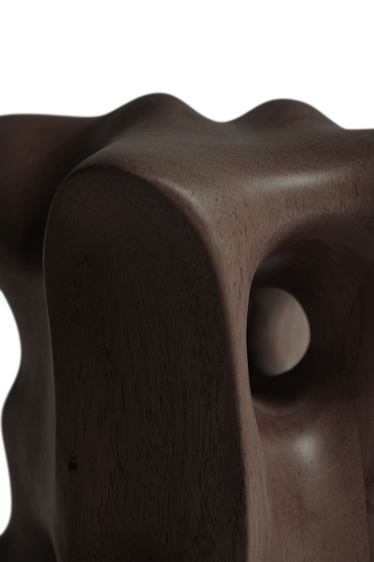 Dark Brown Organic sculpture