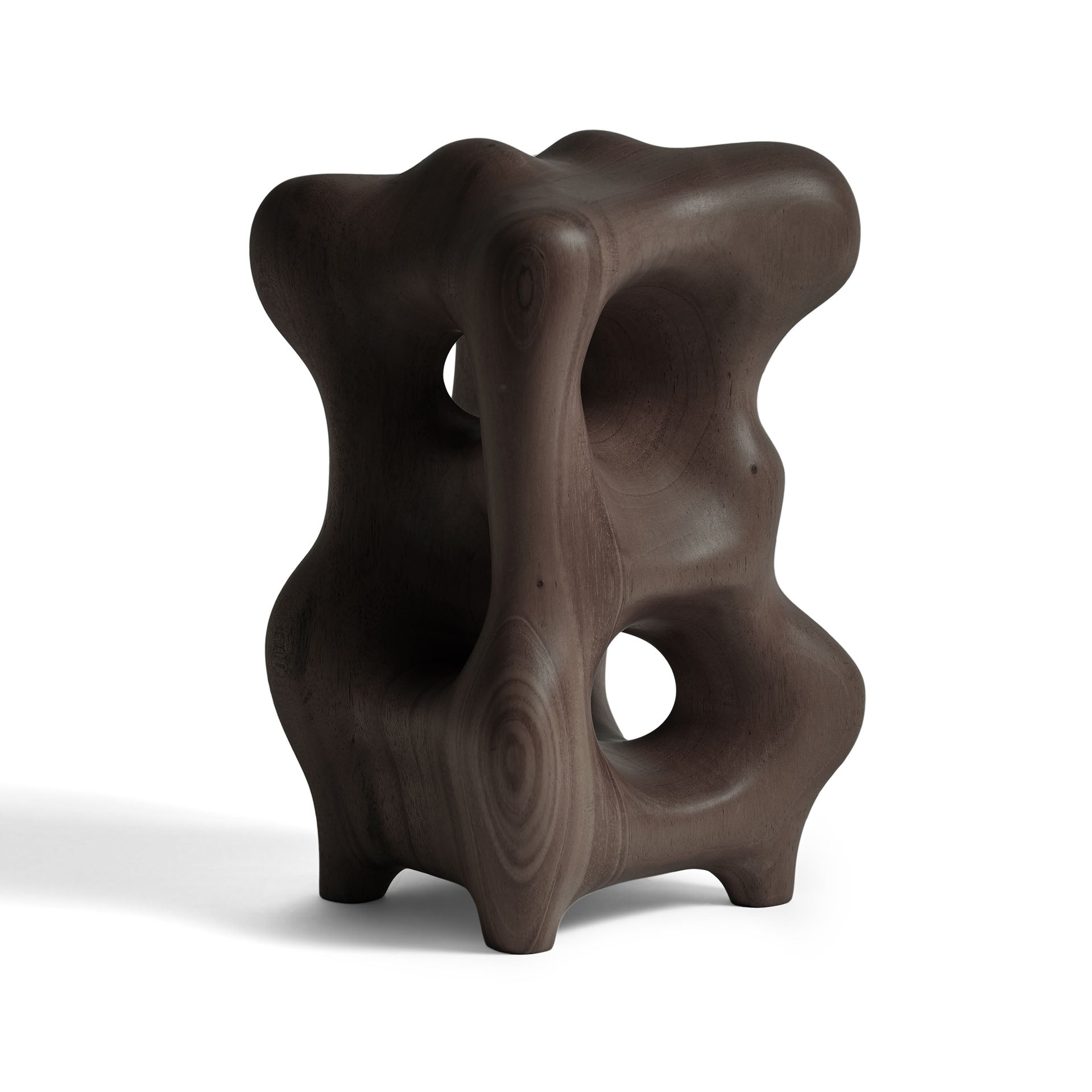 Dark Brown Organic sculpture