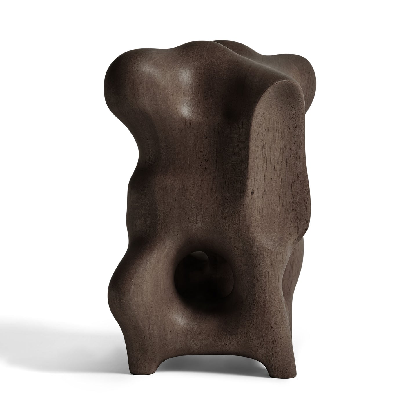 Dark Brown Organic sculpture