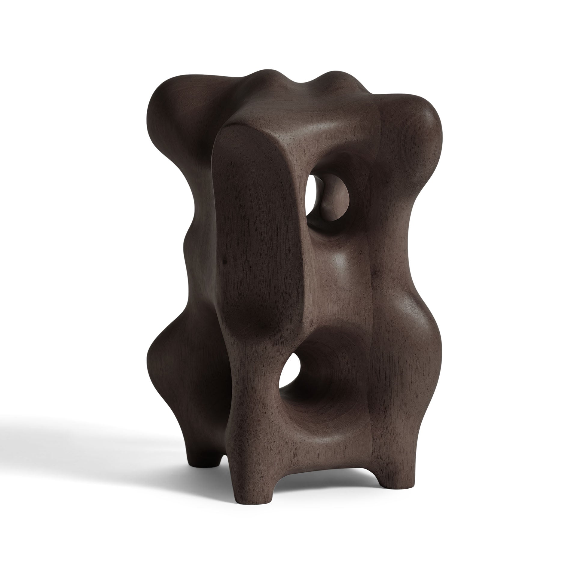 Dark Brown Organic sculpture