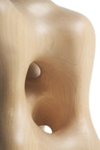 Organic sculpture - Light