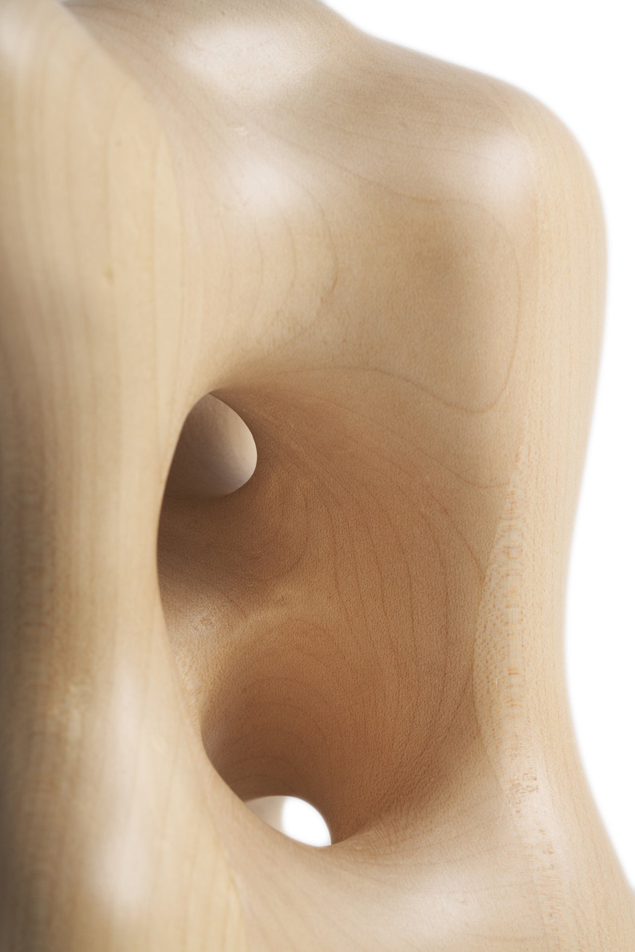 Organic sculpture - Light