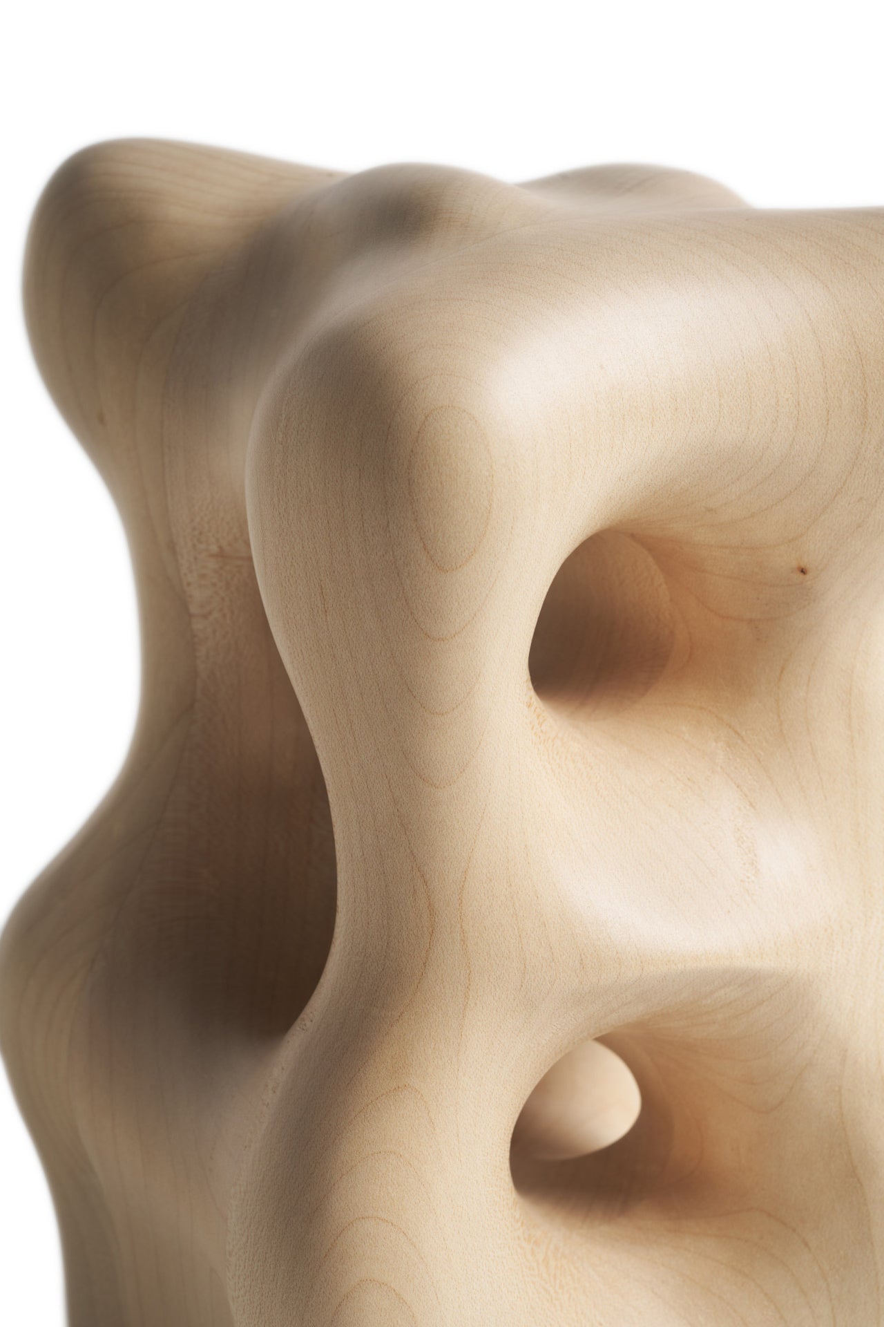 Organic sculpture - Light